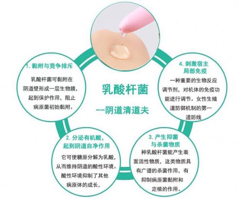 如何轻松选购心仪的家具：一份官网指南